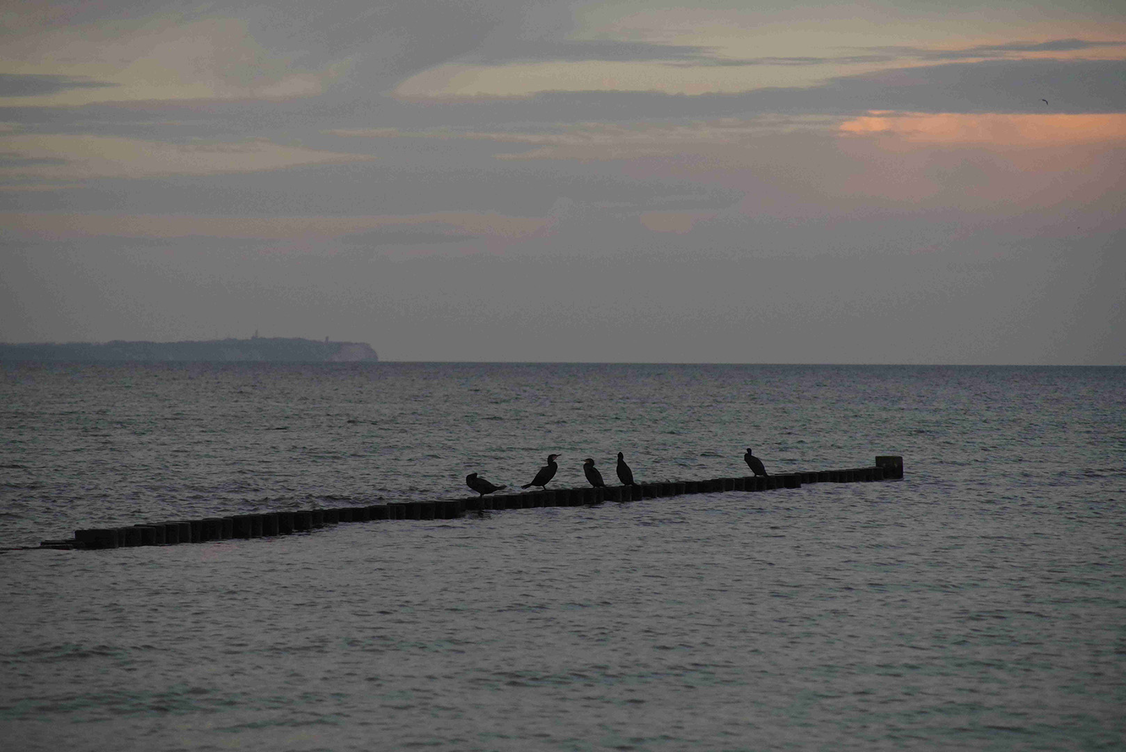 Comprehensive Solutions